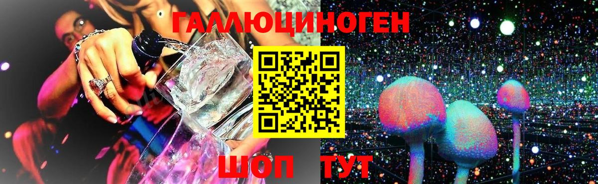 Галлюциногенные грибы GOLDEN TEACHER Кудымкар